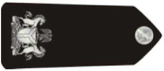 Police ranks in Nigeria