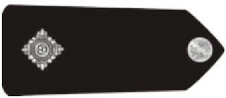 Assistant Superintendent 